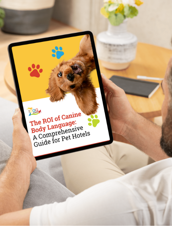 ROI of Canine Body Language ROI of Canine Body Language