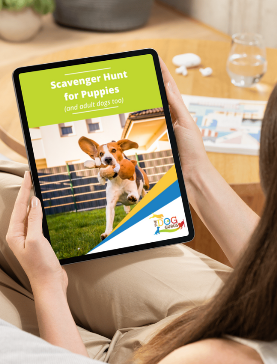 Scavenger Hunt for Puppies (1)